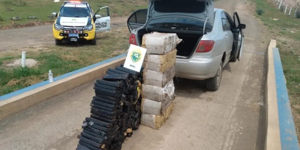 Motorista confessou que receberia R$ 5 mil para levar a droga até Curitiba