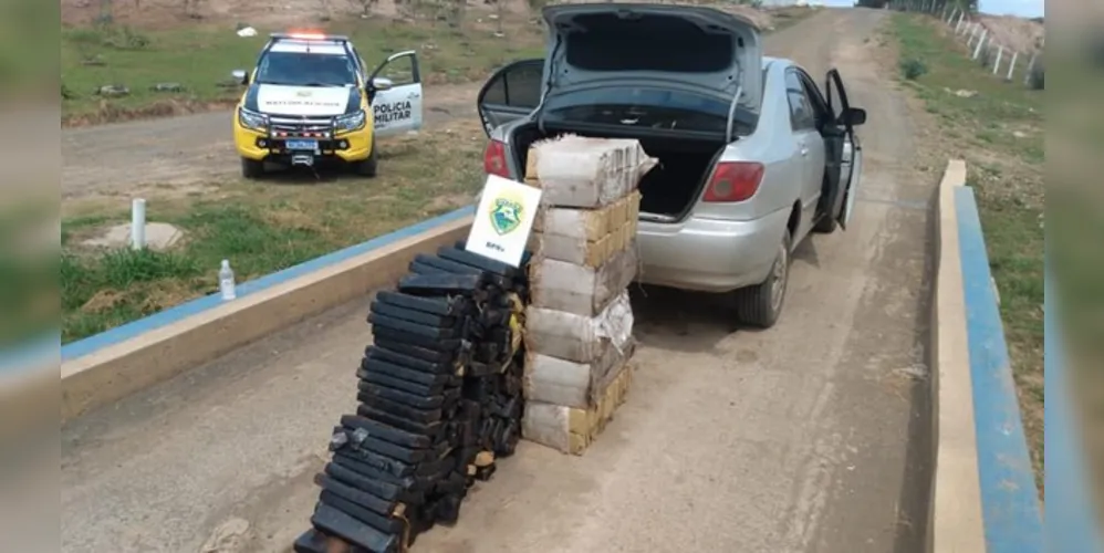 Motorista confessou que receberia R$ 5 mil para levar a droga até Curitiba