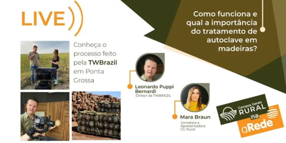 Imagem ilustrativa da imagem Madeira autoclavada preserva florestas, é mais resistente e durável