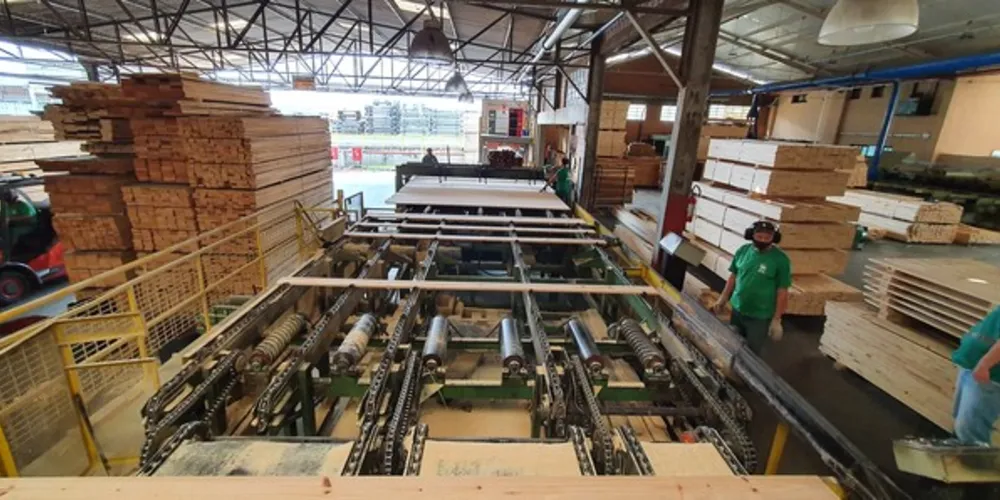  Todas as microrregiões dos Campos Gerais são polo na produção madeireira