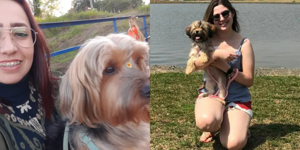 Cliniponta é a primeira e única clínica veterinária de Ponta Grossa que realiza exames de endoscopia em animais