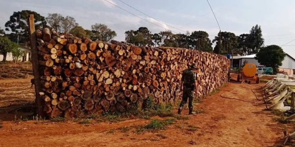 Em Imbituva, Polícia flagrou depósito de 91 metros cúbicos de lenha nativa, sem autorização