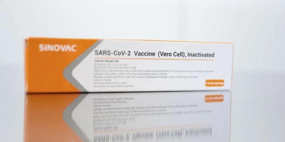 A Sinovac planeja fornecer produtos semifinalizados ao Butantan, que fará a formulação e o envase para o fornecimento da vacina a outros países sul-americanos, disse Yin Weidong, em entrevista coletiva.
