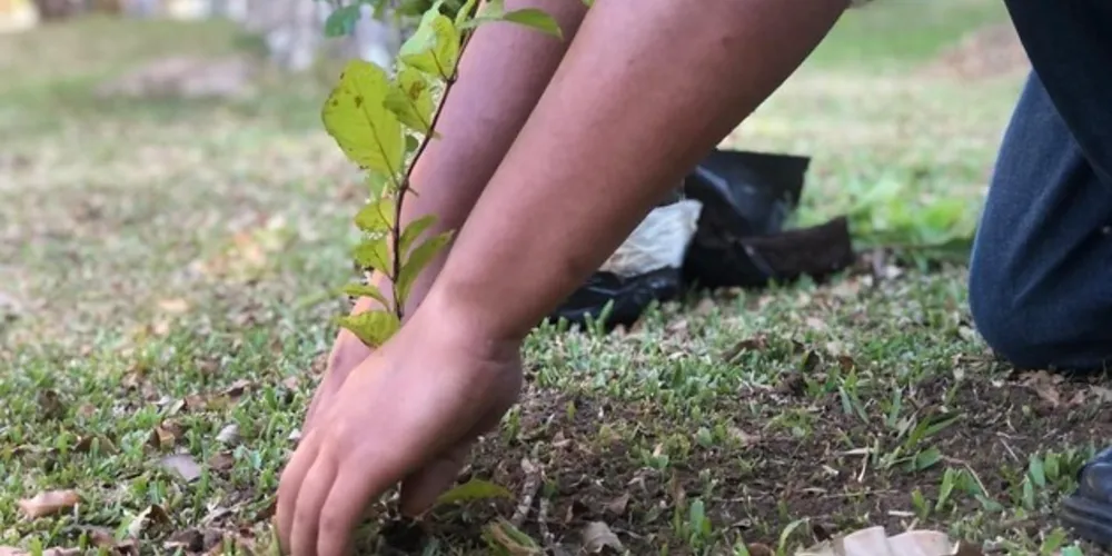 A doação, que faz parte das boas práticas sociais que o projeto vem desenvolvendo em todos os municípios em que atua, aconteceu nessa quarta-feira (23), na instituição que se localiza no distrito de Uvaia, em Ponta Grossa.