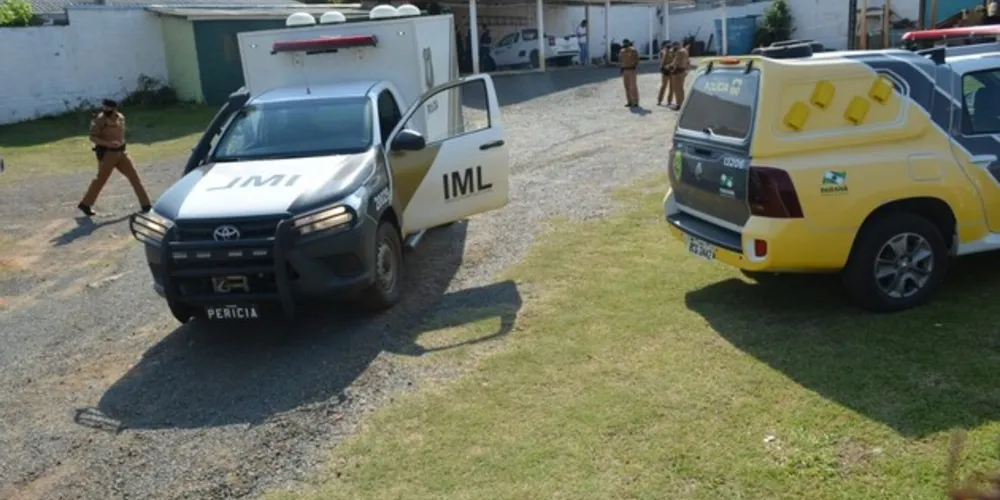 Imagem ilustrativa da imagem IML identifica vítimas de duplo homicídio em PG