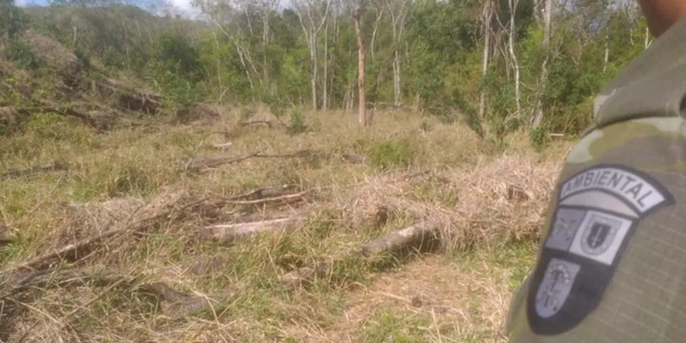 O Batalhão de Polícia Ambiental-Força Verde lavrou 26 autos de infração no Paraná de 21 a 28 de setembro.