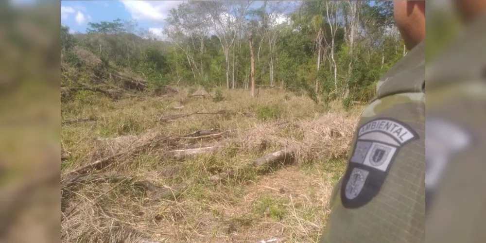 O Batalhão de Polícia Ambiental-Força Verde lavrou 26 autos de infração no Paraná de 21 a 28 de setembro.