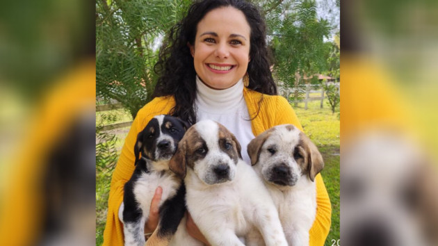 A Médica Veterinária e Diretora de Relações Institucionais das Faculdades Cescage, Prof. Dra. Érika Zanoni Fagundes Cunha, lançou sete manuais sobre comportamentos de animais e seus tutores.
