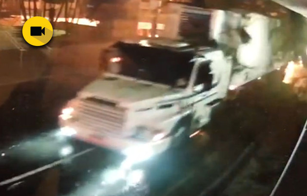 Imagem ilustrativa da imagem Vídeo flagra caminhão derrubando árvore histórica