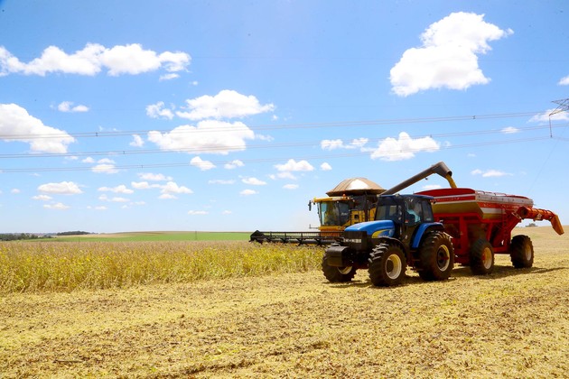 O Paraná começa a plantar a safra de grãos de verão 2020/21 mas a continuidade do clima seco, que se configurou na maior estiagem dos últimos 100 anos, segundo o Simepar, é a maior preocupação dos produtores.