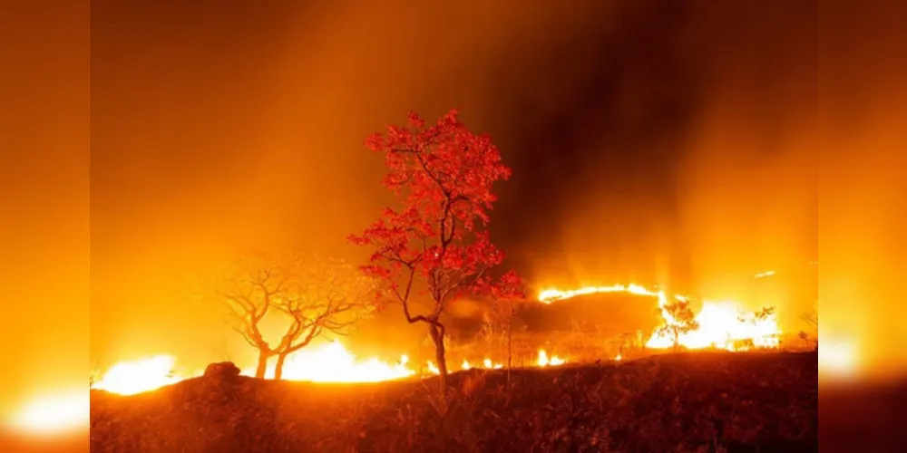 Brigadistas de incêndio do parque e voluntários atuam para que o fogo seja controlado
