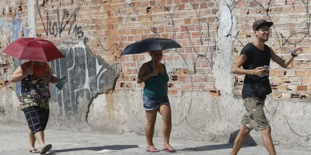 O instituto disse que há risco de morte por hipertermia.