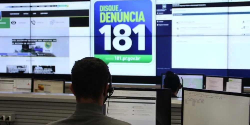 De janeiro a agosto de 2020, foram inseridas no banco de dados mais de 33,5 mil denúncias