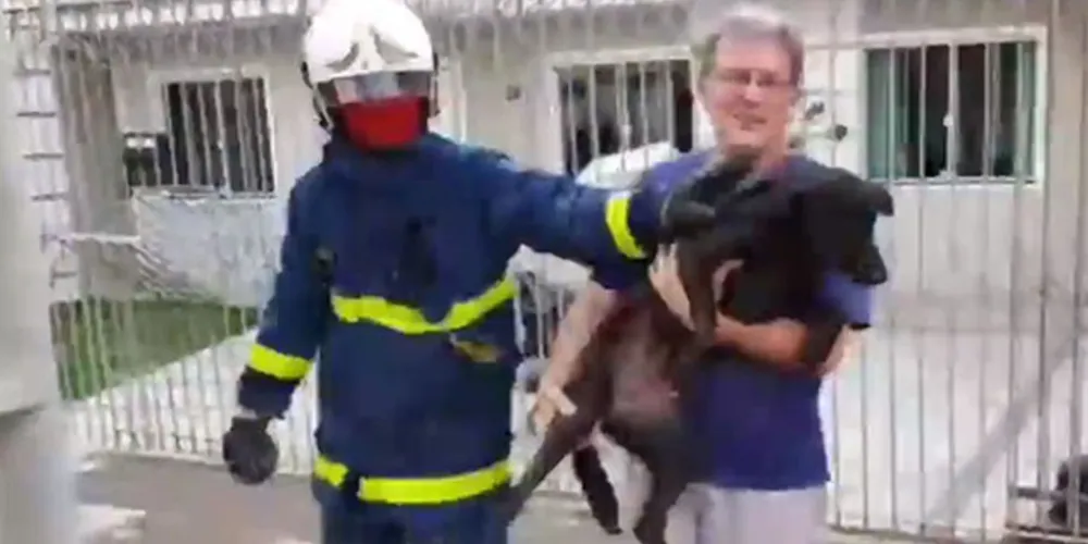 Vizinho ficou responsável pelo cachorro até o retorno do dono