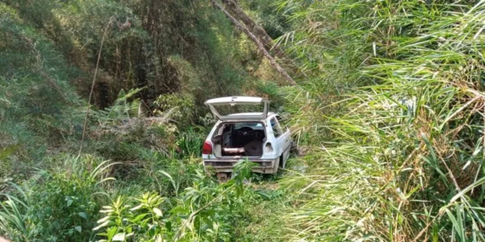 Os corpos, com marcas de tiro, foram localizados em uma área de desmanche de carros pela Guarda Municipal de Quatro Barras, possivelmente após uma denúncia anônima.
