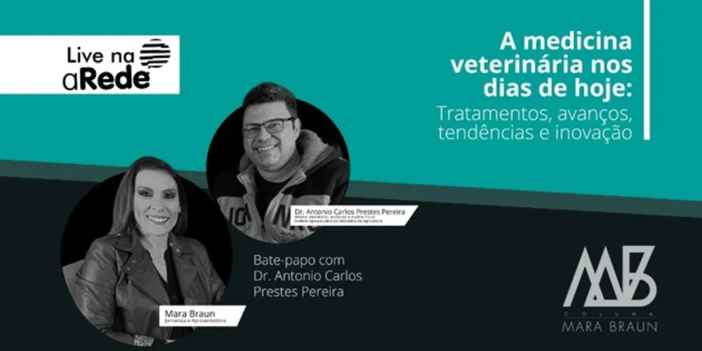 Imagem ilustrativa da imagem Veja como está o momento atual do mercado pet