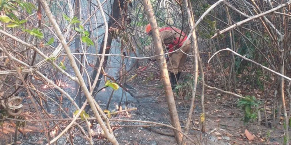 Fogo teve início no dia 25 de setembro em uma propriedade rural no município de Cavalcante. Estimativa é de que 75 mil hectares tenham sido destruídos