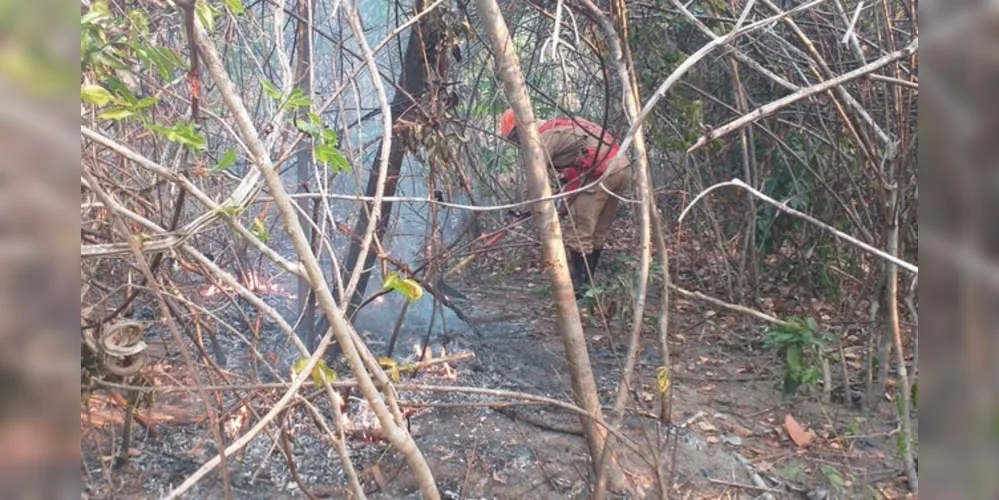 Fogo teve início no dia 25 de setembro em uma propriedade rural no município de Cavalcante. Estimativa é de que 75 mil hectares tenham sido destruídos