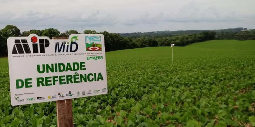 O serviço Alerta Ferrugem faz a instalação de coletores em propriedades rurais estrategicamente selecionadas em toda a região produtora no Estado. 