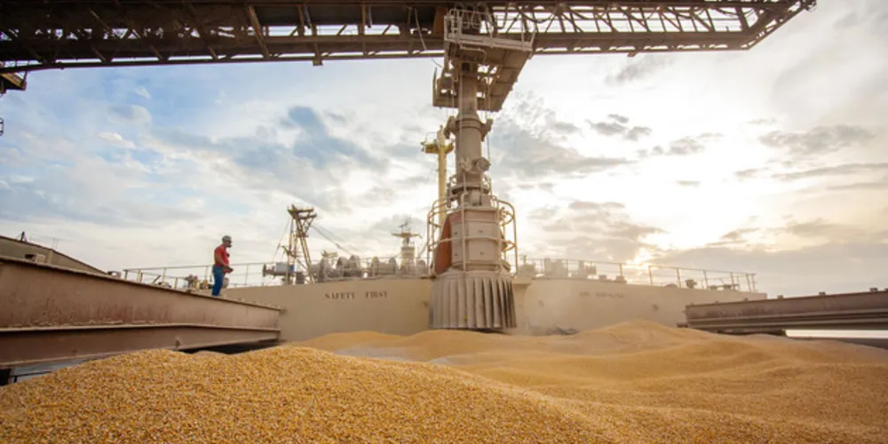 Imagem ilustrativa da imagem Governo zera tarifa de importação para soja e milho