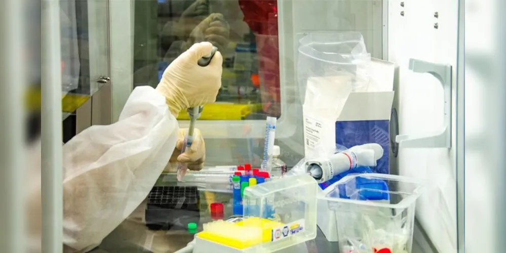 Brasil tem mais de 5,22 milhões de contaminados