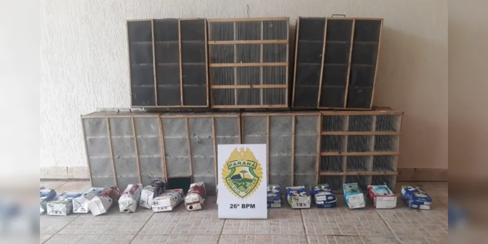 Aves estavam em caixas de madeira e embalagens de leite escondidas dentro dos carros