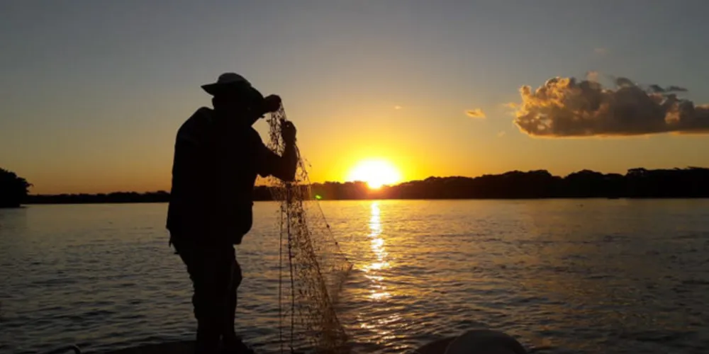 Não são permitidos a posse e o abate das principais espécies até 1º de novembro, quando tem início o defeso da piracema