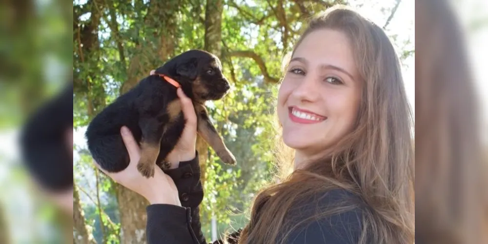 Os animais de estimação merecem passeios agradáveis e sem riscos. Confira algumas medidas que garantem uma diversão adequada e segura para o seu pet