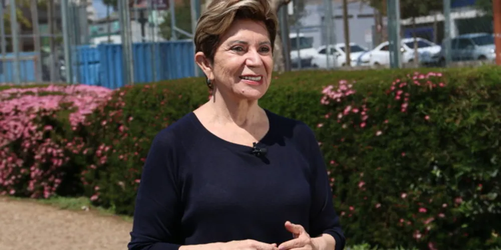 Imagem ilustrativa da imagem Elizabeth quer simplificar abertura de empresas em PG