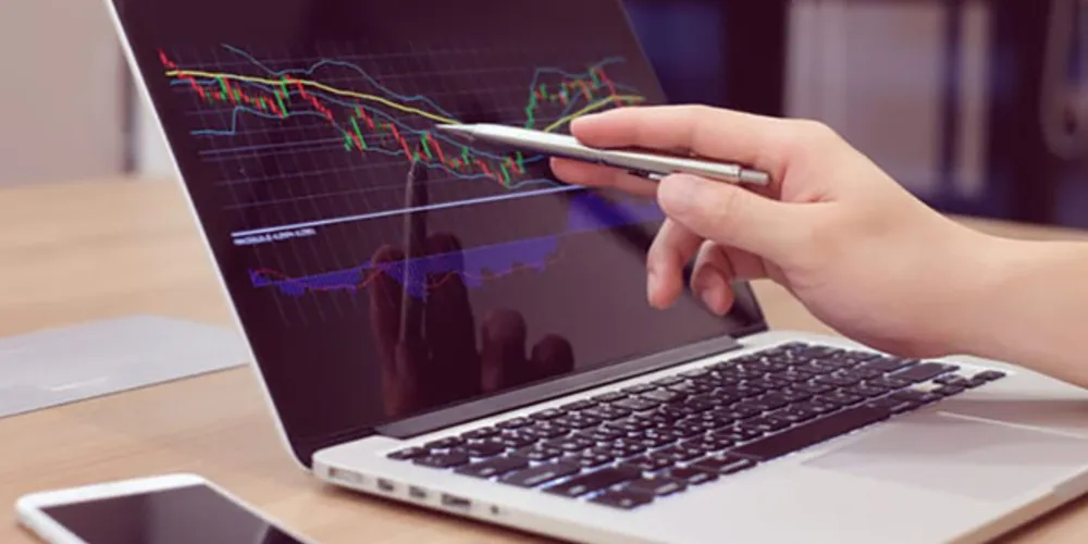 O profissional atua nas áreas de pesquisa: macroeconomia, economia política e desenvolvimento econômico.