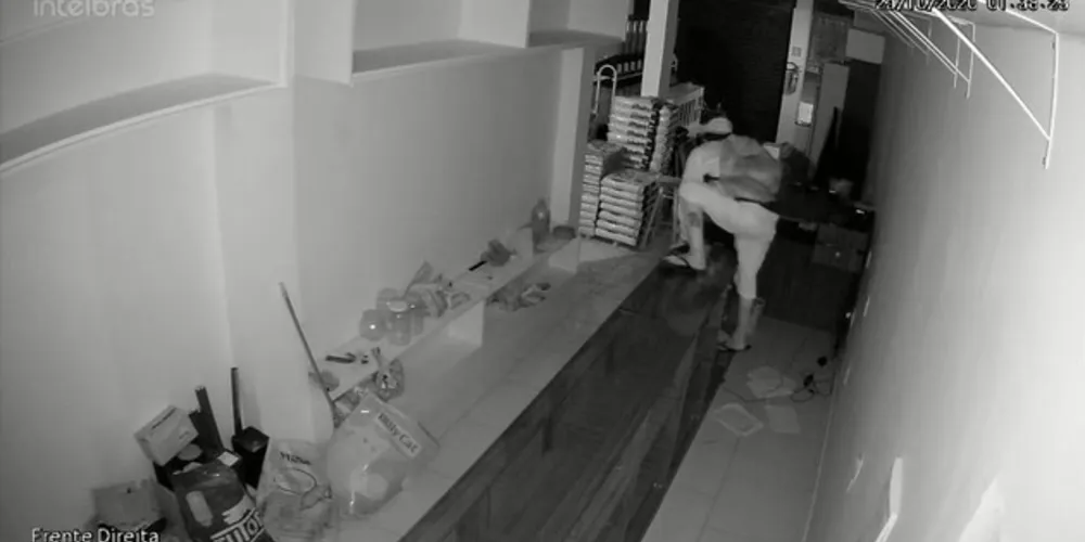 Imagem ilustrativa da imagem Rapaz invade e furta pet shop na Vila Marina