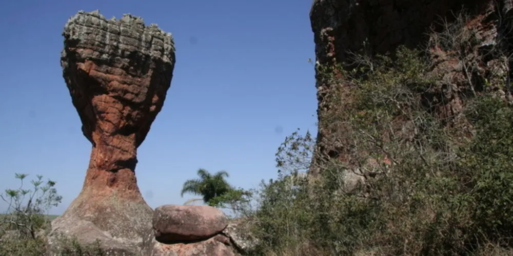 Objetivo é incentivar a seleção destes produções da região para compor mix