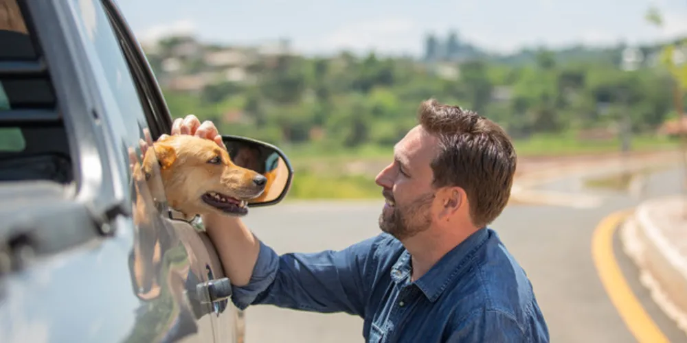 Imagem ilustrativa da imagem Pauliki apresenta propostas em prol da causa animal