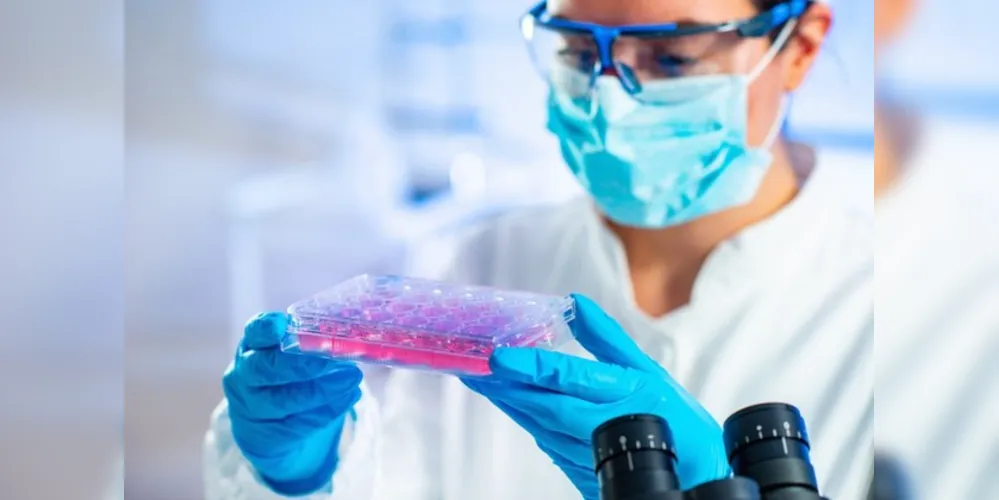 O projeto foi selecionado no Programa de Combate a Epidemias da Coordenação de Aperfeiçoamento de Pessoal de Nível Superior (CAPES), vinculada ao Ministério da Educação.