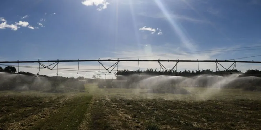 As atividades de apoio à agricultura lideraram a abertura de vagas no acumulado de janeiro a setembro, seguida por cana-de-açúcar, soja, café, bovinos e plantas de lavoura temporária. 