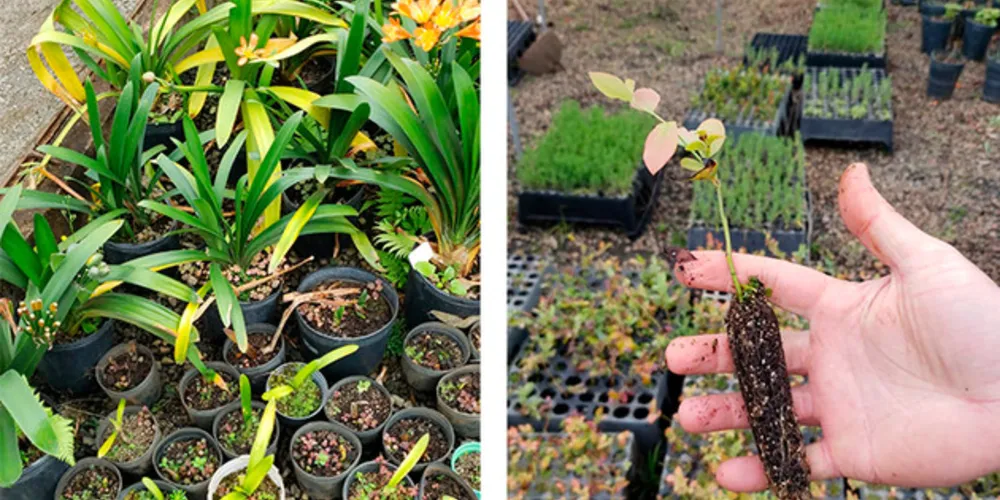 Curso de Agronomia da UEPG encontrou na iniciativa privada uma parceria para seus projetos
