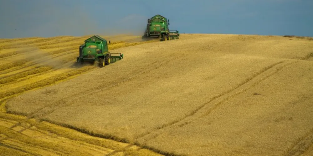 A produção de soja deve alcançar 135 milhões de toneladas, confirmando o país como o maior produtor mundial da oleaginosa. 