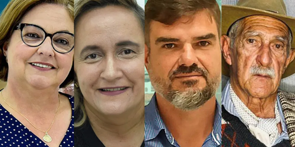 Alcione (DEM), 50%; Graciane Cava (CIDADANIA), 17%; Leon (PRTB), 14%; Pedro Mendes (PODEMOS), 6%