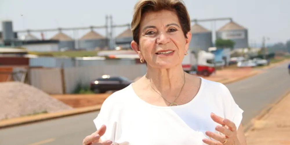 Imagem ilustrativa da imagem Elizabeth vai fomentar ciclo de industrialização em Ponta Grossa