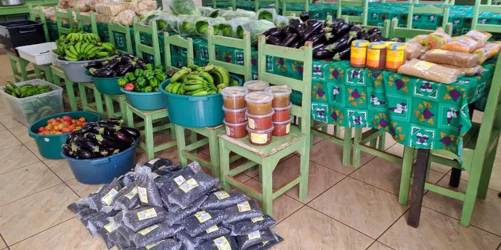 Entre os beneficiários, 90,5% avaliam que o programa é muito importante para os agricultores e 87% consideram muito importante para as entidades atendidas. 