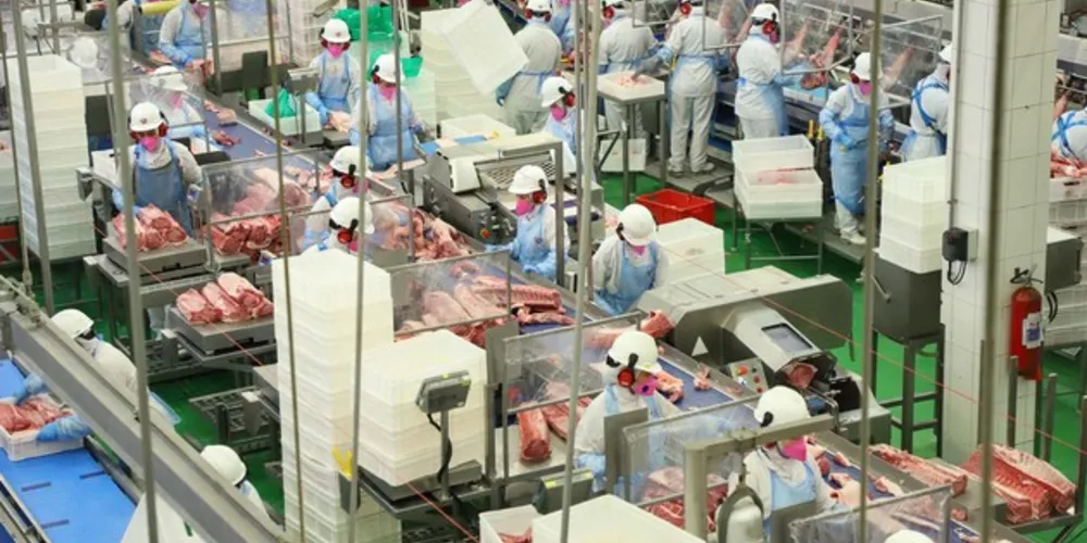 Média mensal de 3,3 mil toneladas de carnes industrializadas por 
mês na unidade instalada pela Unium no município de Castro