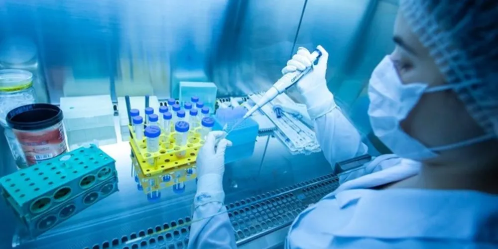 Ao todo, 17 pesquisadores da UEM, UEL, UEPG e Unicentro foram indicados em estudo publicado pelo periódico PLOS Biology Journal
