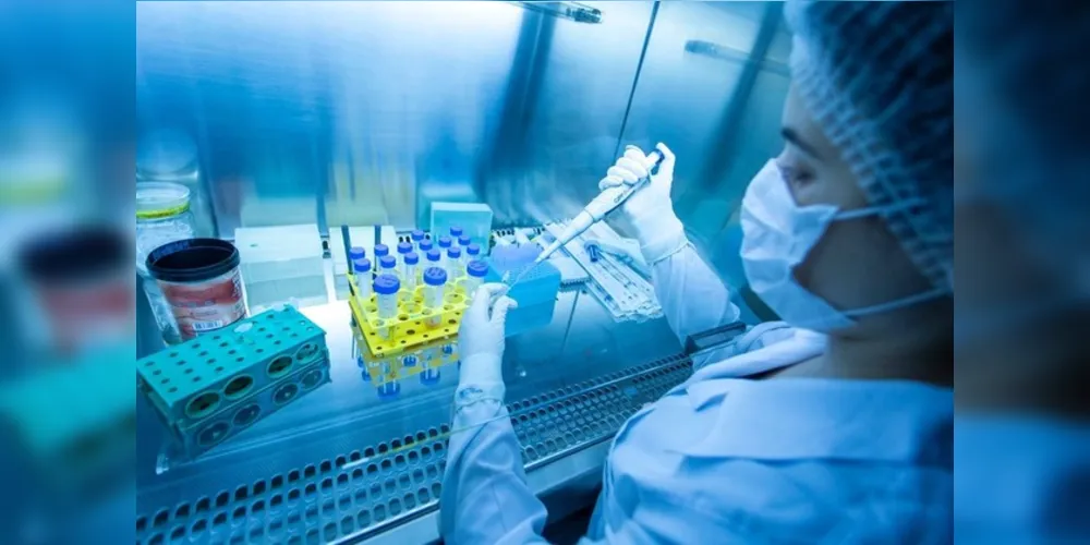 Ao todo, 17 pesquisadores da UEM, UEL, UEPG e Unicentro foram indicados em estudo publicado pelo periódico PLOS Biology Journal