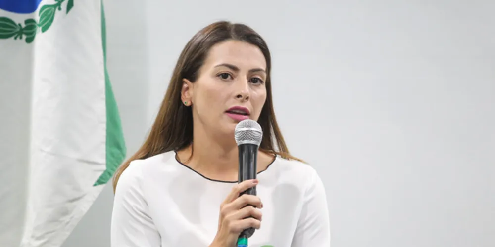 Imagem ilustrativa da imagem Mabel Canto propõe descentralização administrativa