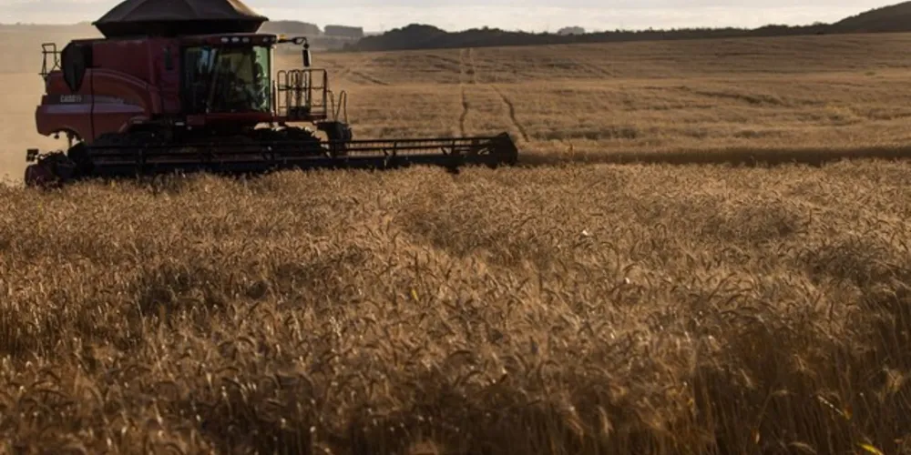 A redução do crescimento guarda relação com a queda de estimativa de produção de trigo, café e cana-de-açúcar.