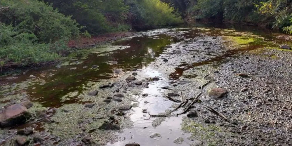 Em agosto o Paraná passou a integrar o Monitor da Seca, criado devido à estiagem severa do Nordeste do País em 2012.