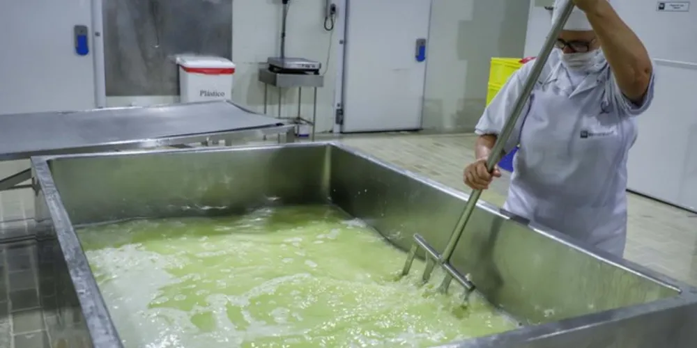 De acordo com dados do Instituto Brasileiro de Geografia e Estatística (IBGE/2018), o Paraná, segundo maior produtor do Brasil, atinge anualmente 4,4 bilhões de litros de leite. 