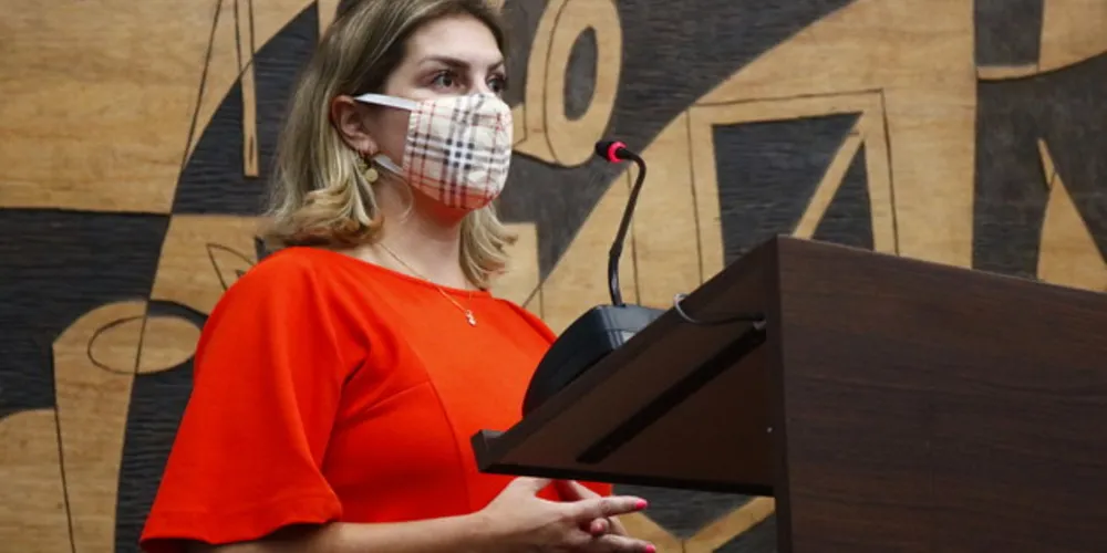 Imagem ilustrativa da imagem Legislativo adia mudanças nas ‘Zonas Industriais’ de PG