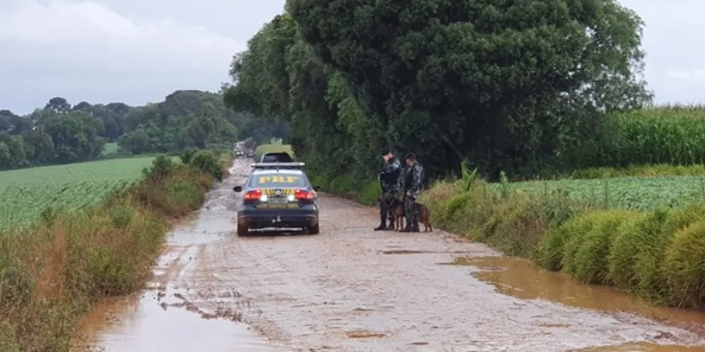 Policiais militares e rodoviários federais fazem cerco pela região