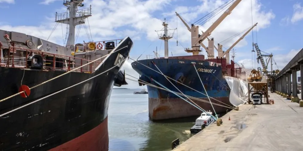 A proposta libera progressivamente o uso de navios estrangeiros no País sem a obrigação de contratar a construção de unidades em estaleiros locais. 